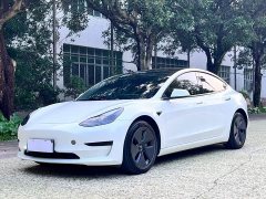 Tesla Model 3 Standard Range RWD Upgrade - ფოტო 1