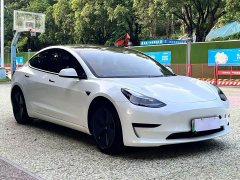 Tesla Model 3 Standard Range RWD Upgrade - ფოტო 3