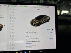 Tesla Model 3 Standard Range RWD Upgrade - ფოტო 8