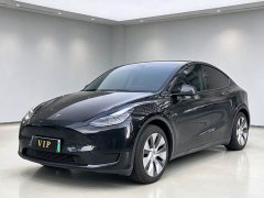 Tesla Model Y Rear-Wheel Drive - ფოტო 1