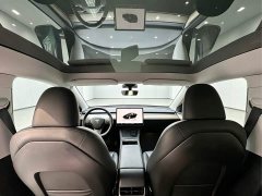 Tesla Model Y Rear-Wheel Drive - ფოტო 16