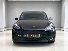 Tesla Model Y Rear-Wheel Drive - ფოტო 2
