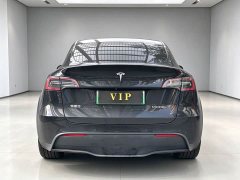 Tesla Model Y Rear-Wheel Drive - ფოტო 5