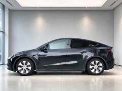 Tesla Model Y Rear-Wheel Drive - ფოტო 8
