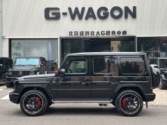 Mercedes-Benz G-Class G 350 - ფოტო 2