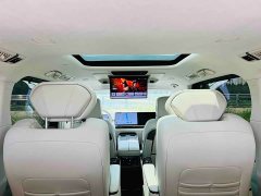 Great Wall WEY Shanshan New Energy Four-Wheel Drive Shanshan 8 - ფოტო 14