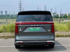 Great Wall WEY Shanshan New Energy Four-Wheel Drive Shanshan 8 - ფოტო 8