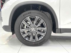 Chery Tiggo 8 2022 1.5T Manual Transmission Premium Edition 5-Seater - ფოტო 17
