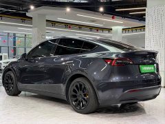 Tesla Model Y Rear-Wheel Drive - ფოტო 13