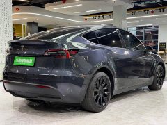 Tesla Model Y Rear-Wheel Drive - ფოტო 15