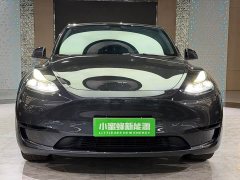 Tesla Model Y Rear-Wheel Drive - ფოტო 2