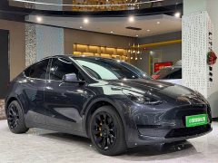 Tesla Model Y Rear-Wheel Drive - ფოტო 3