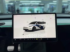 Tesla Model Y Rear-Wheel Drive - ფოტო 8