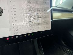 Tesla Model 3 Facelift Standard Range RWD Upgrade 3D1 - ფოტო 8
