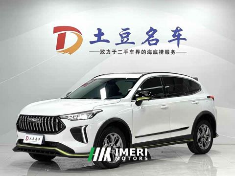 2022 Haval Chitu Jingxiang Edition 1.5T Purple Copper Rabbit