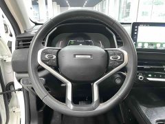 Haval Chitu Jingxiang Edition 1.5T Purple Copper Rabbit - ფოტო 8
