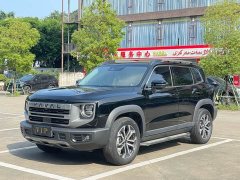 Great Wall Dachshund 1.5T DCT Border Collie Edition - ფოტო 1
