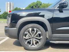 Great Wall Dachshund 1.5T DCT Border Collie Edition - ფოტო 6