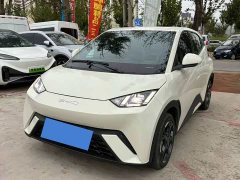BYD Seagull 405km Flying Edition - ფოტო 1