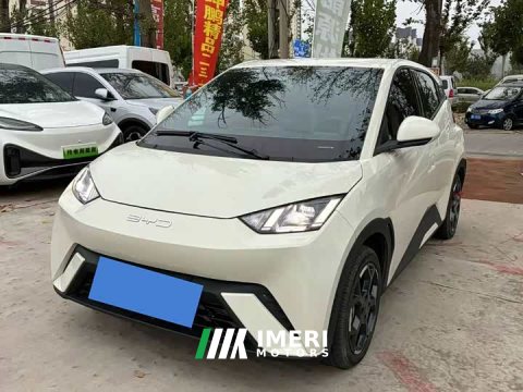 2025 BYD Seagull 405km Flying Edition - ავტომობილი ჩინეთიდან