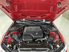 BMW 3 Series 320Li M Sport Package - ფოტო 16