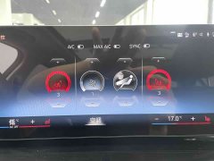 BMW 3 Series 320Li M Sport Package - ფოტო 8