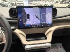 BYD Dolphin 2025 420km Freedom Edition - ფოტო 12