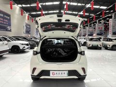 BYD Dolphin 2025 420km Freedom Edition - ფოტო 16