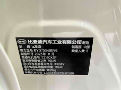 BYD Dolphin 2025 420km Freedom Edition - ფოტო 19