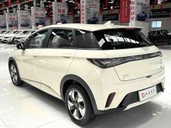 BYD Dolphin 2025 420km Freedom Edition - ფოტო 4