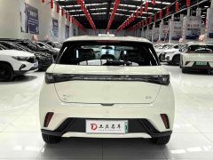 BYD Dolphin 2025 420km Freedom Edition - ფოტო 5