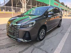 Buick GL8 Land Executive Cabin 652T Luxury - ფოტო 1