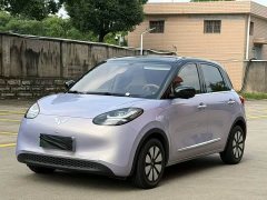 Wuling Binguo 333km Lingxi Premium Edition - ფოტო 1