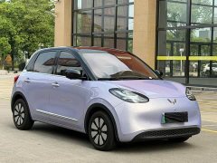 Wuling Binguo 333km Lingxi Premium Edition - ფოტო 5