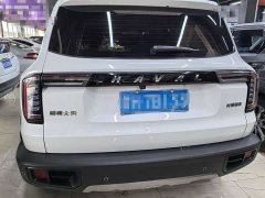 Great Wall Dachshund 1.5T DCT Two-Wheel Drive Border Collie Edition - ფოტო 5