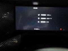 Tank 300 Off-Road Edition 2.0T Conqueror - ფოტო 10