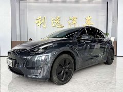 Tesla Model Y Rear-Wheel Drive - ფოტო 1