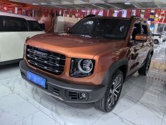 Great Wall Dachshund 2021 1.5T DCT Two-Wheel Drive Border Collie Edition - ფოტო 1