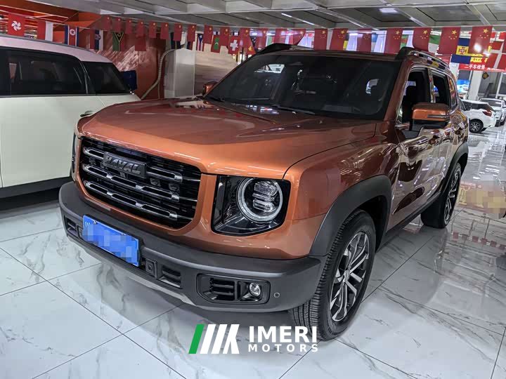 Great Wall Dachshund 1.5T DCT Two-Wheel Drive Border Collie Edition