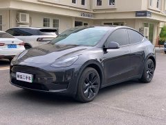 Tesla Model Y Rear-Wheel Drive - ფოტო 1