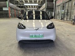 Wuling Binguo 333km Joy Edition - ფოტო 1