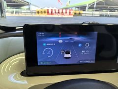 Wuling Binguo 333km Joy Edition - ფოტო 11