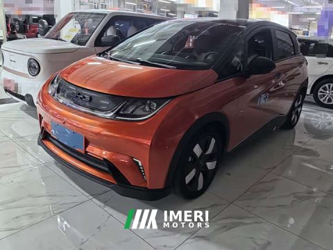 2023 BYD Dolphin 401km Knight Edition - ავტომობილი ჩინეთიდან