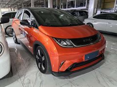 BYD Dolphin 401km Knight Edition - ფოტო 3