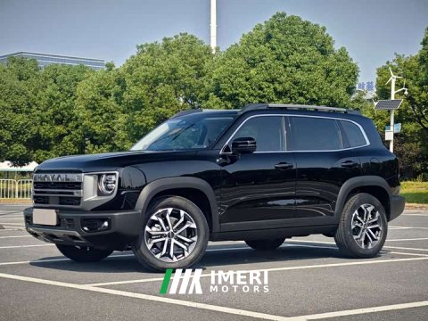 2024 Great Wall Dachshund 1.5T DCT Border Collie Edition - ავტომობილი ჩინეთიდან