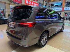 Buick GL8 2023 Land Executive Cabin 652T Luxury - ფოტო 8