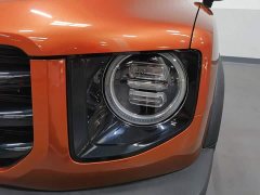 Great Wall Dachshund 2.0T DCT Four-Wheel Drive Chinese Rural Dog Edition - ფოტო 7