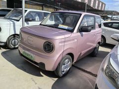 Geely Panda Mini 200km Endurance Edition - ფოტო 1