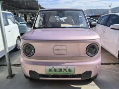 Geely Panda Mini 200km Endurance Edition - ფოტო 2