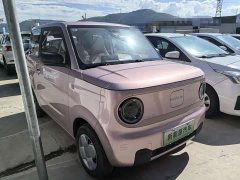 Geely Panda Mini 200km Endurance Edition - ფოტო 3